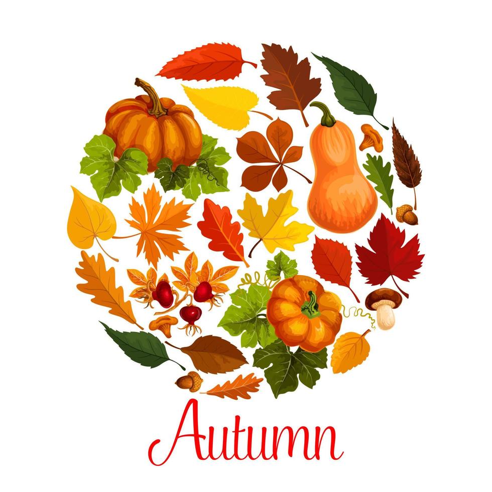 cartel de la temporada de otoño de hoja de otoño y calabaza vector