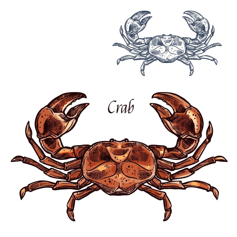 Crab lobster seafood vector isolated sketch icon