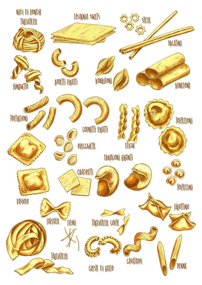 Italian pasta names vector sketch icons set