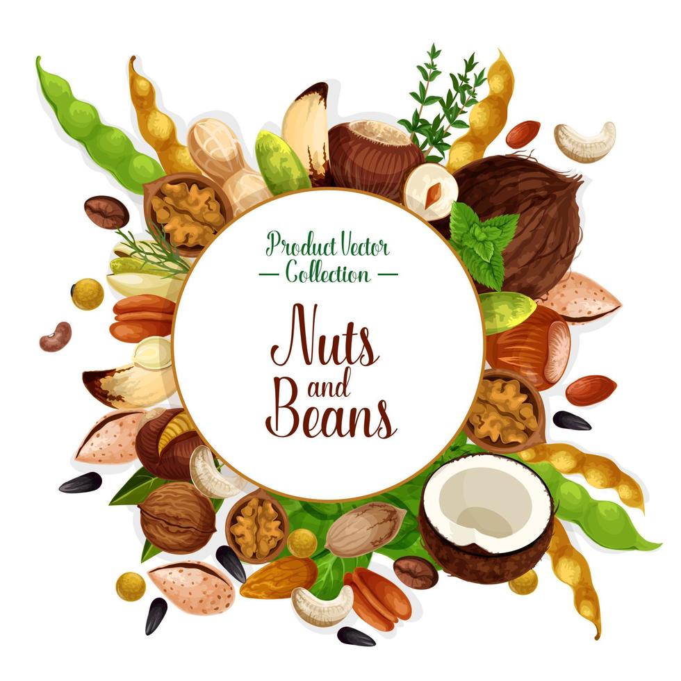 Nut and bean, seed and herb poster vector