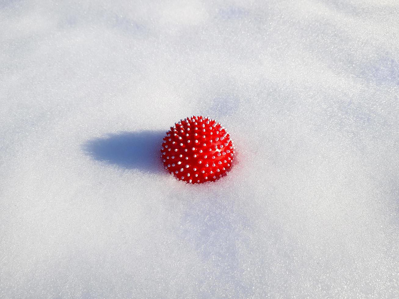 Red spiky ball in the form of a corona virus is half buried in the snow. Ball for dog or self massage. photo