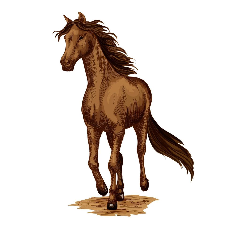 Horse animal running stallion racehorse vector icon