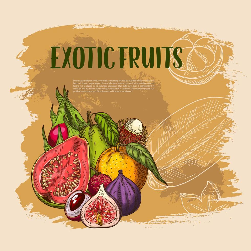 Vector exotic fresh tropical fruits poster