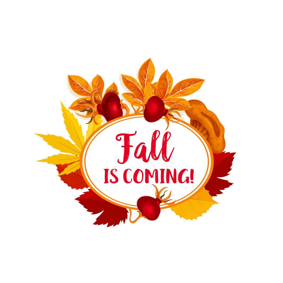 baya de otoño para el cartel del vector otoño está llegando