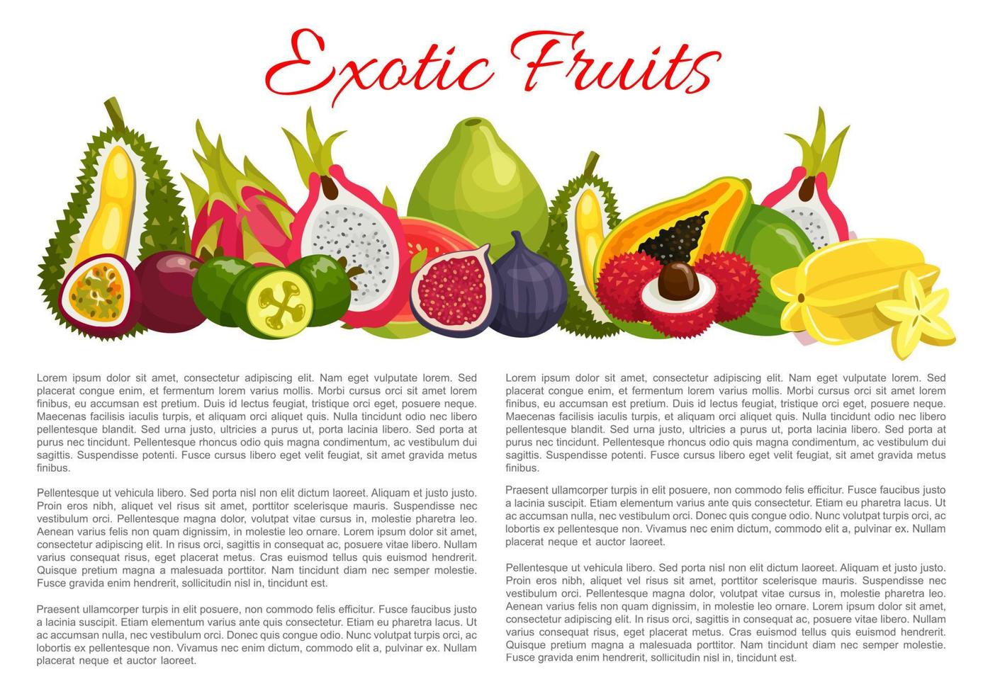 cartel de información vectorial frutas exóticas tropicales vector
