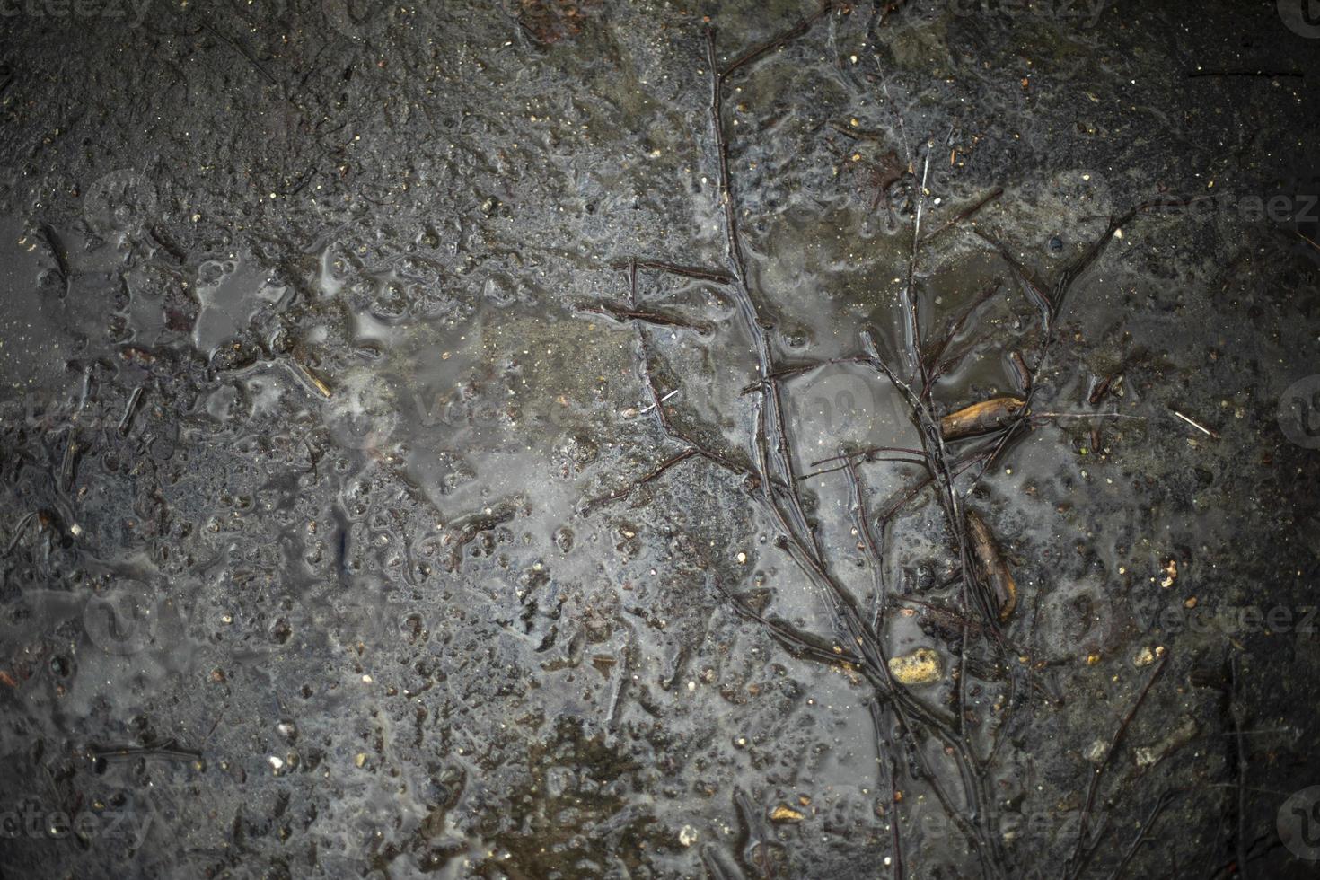 Close-up of dirt on road. Texture of wet asphalt. photo