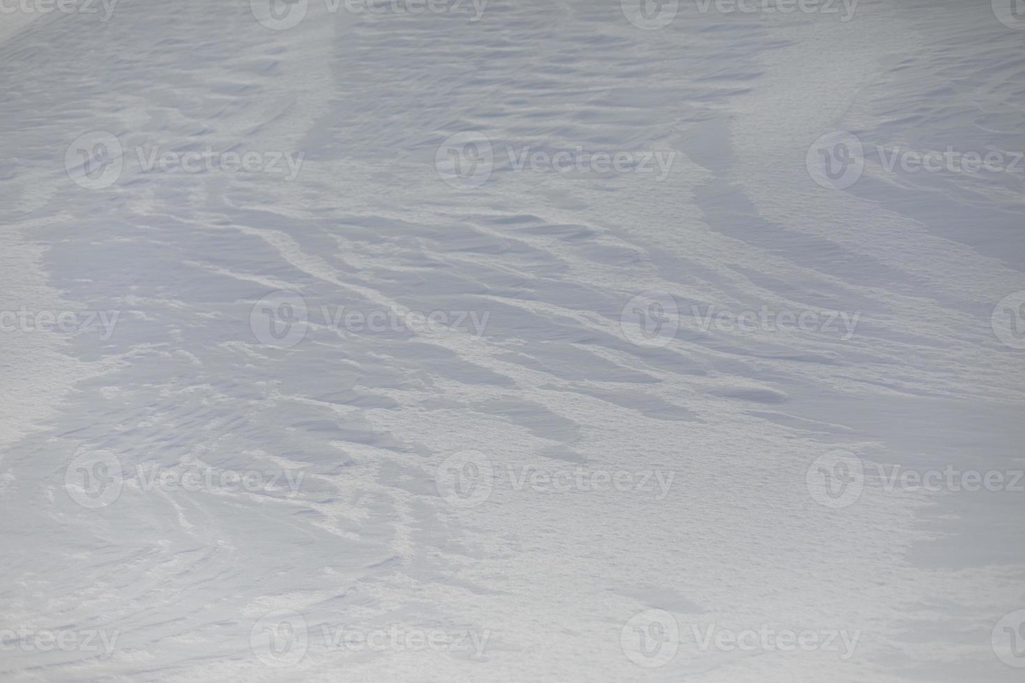Texture of snow. Background is snowy plain. photo