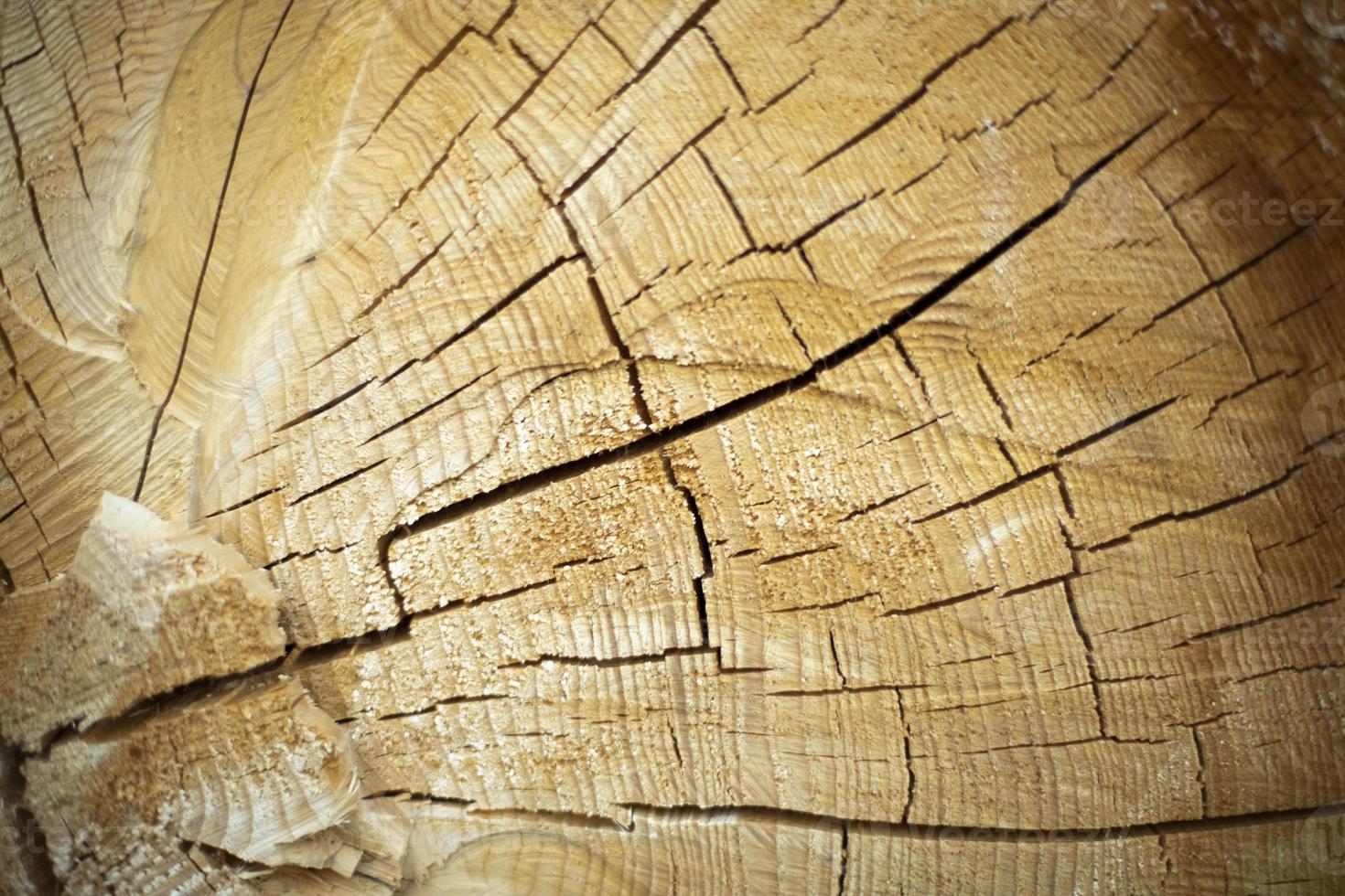 Cracks in tree. Texture is dry wood. Sawn spruce. photo