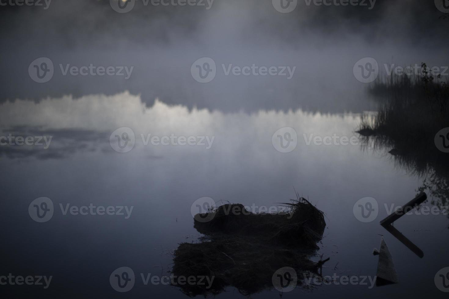 Lake in early morning. Lake and forest in fog. Details of nature in summer. photo