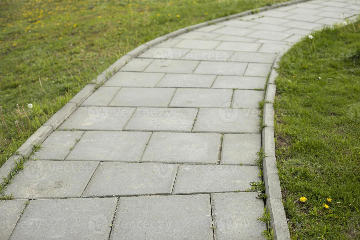 Path in park. Tile trail through park. Details of pedestrian zone. Place for walking. photo