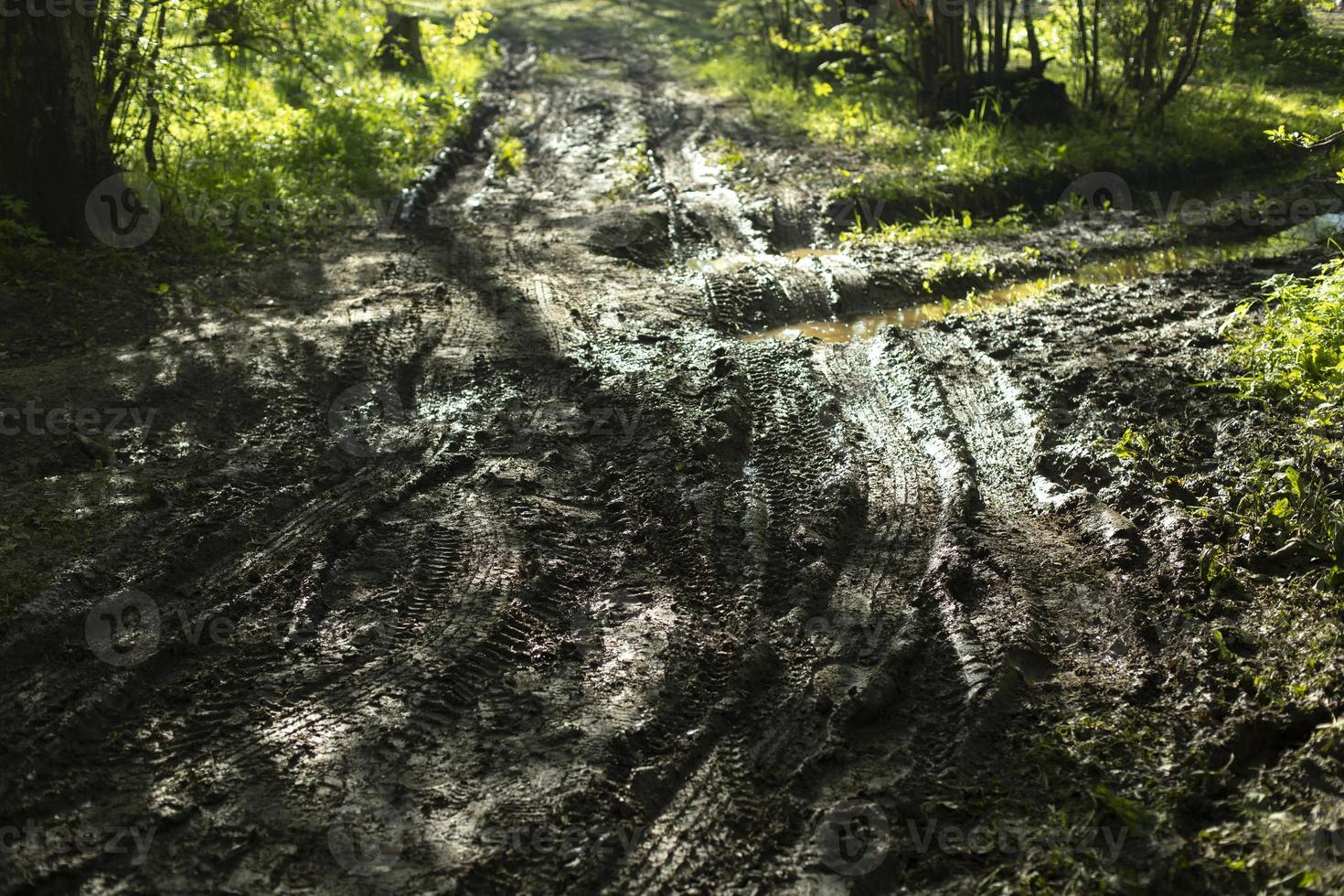 Muddy road in woods. Earthen road in park. photo