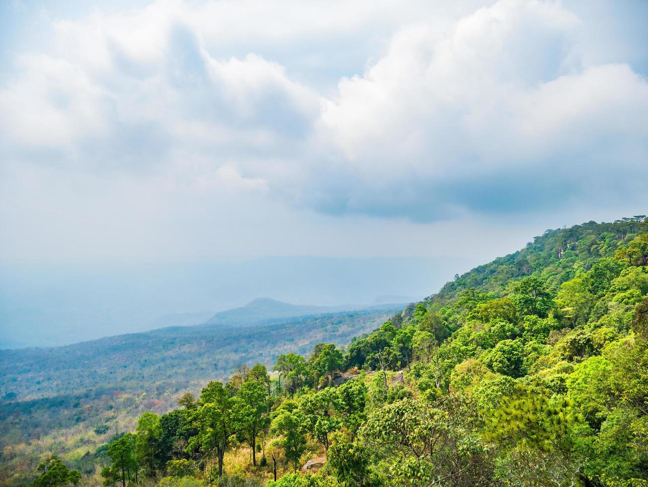 Beautiful scenery view from Yeabmek Cliff on Phu Kradueng mountain national park in Loei City Thailand.Phu Kradueng mountain national park the famous Travel destination photo