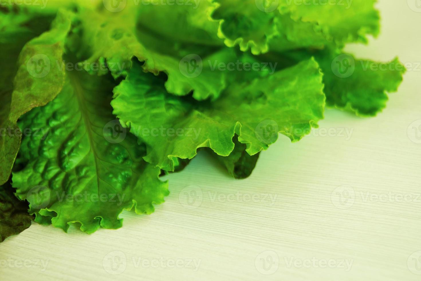 las hojas de ensalada verde sobre el fondo blanco de madera. foto