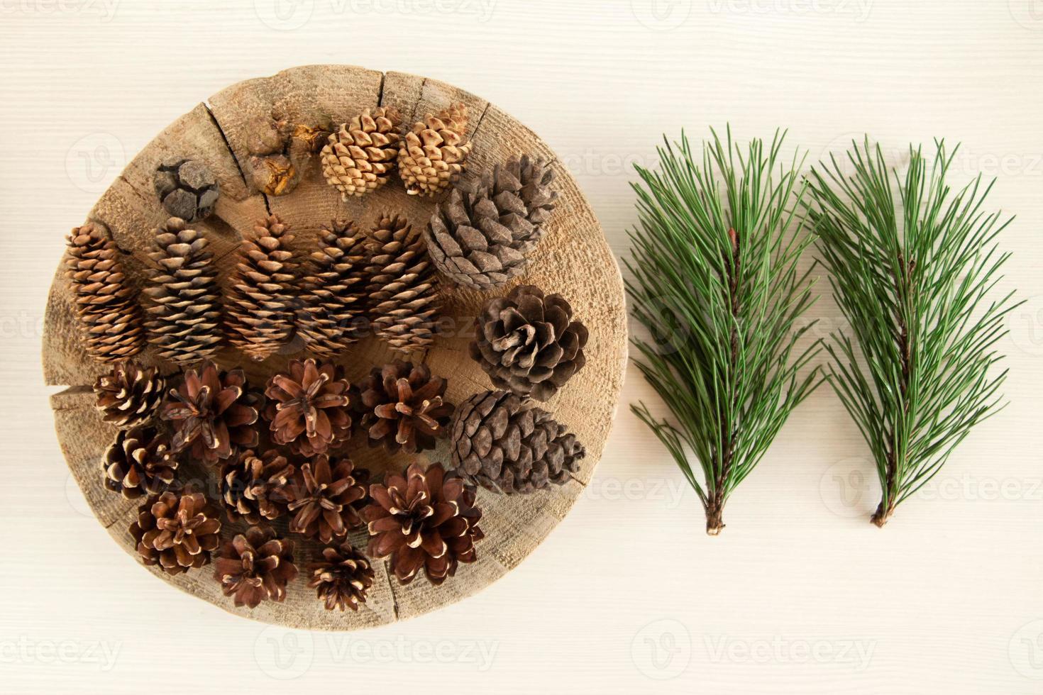 Different cones of coniferous tree and two branches of pine on the white wooden background, top view. photo