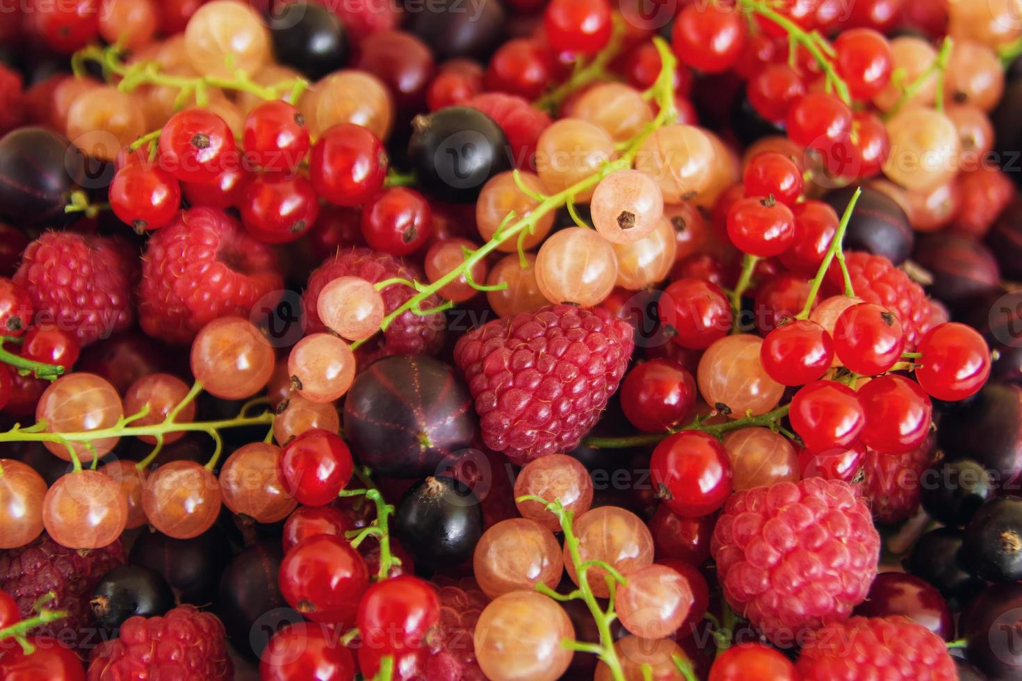 Mixed summer berries - raspberry, blackcurrant, redcurrant, white currant, gooseberry, cherry - on the white wooden background, top view. photo