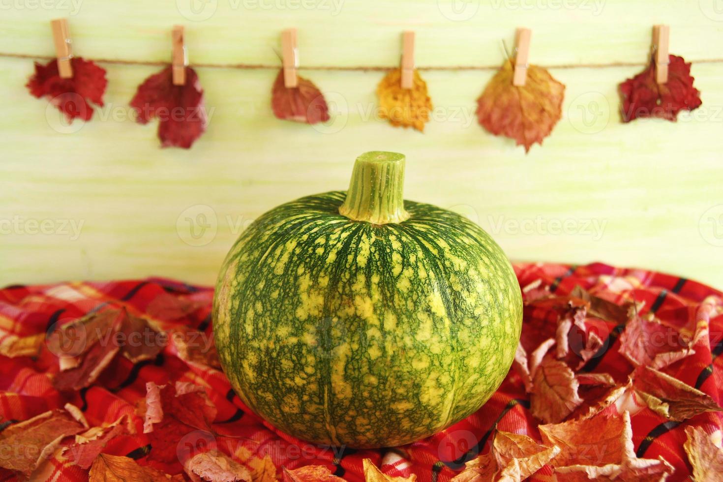 Autumn still life with green pumpkin with dry leaves on a checkered towel on a light green wooden background with leaves on a pins and a rope. photo