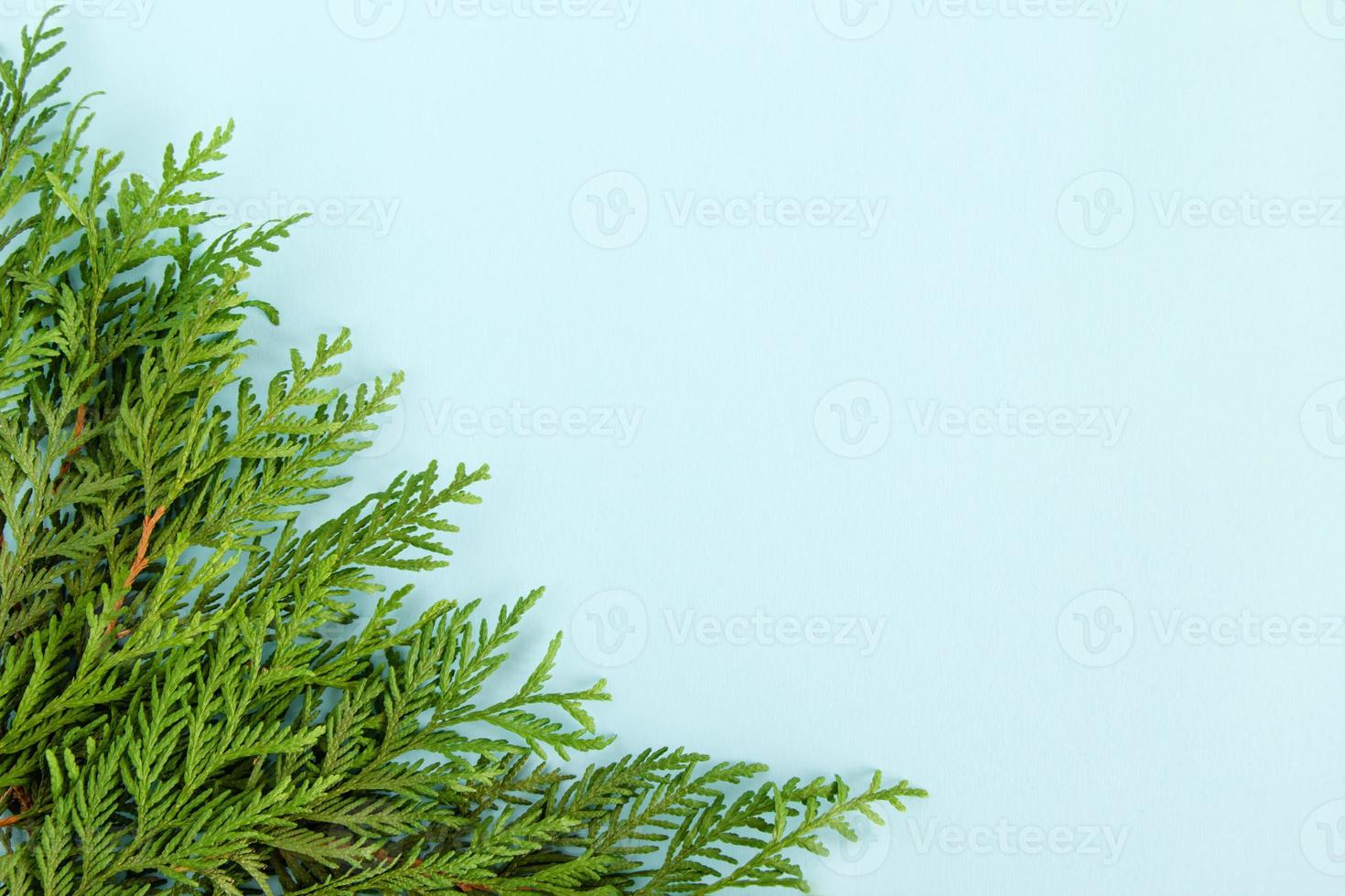 Christmas flat lay composition of fir branches at the left bottom corner with copy space on the blue background. photo