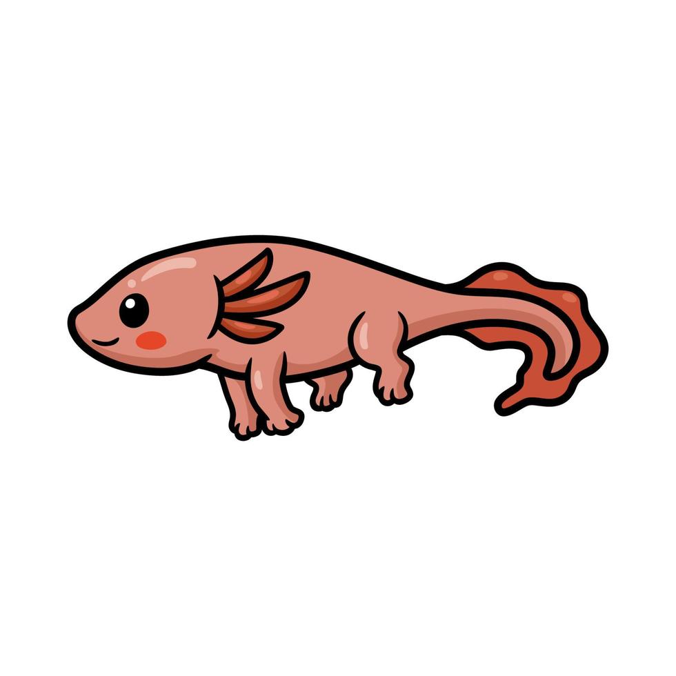 Cute axolotl cartoon vector illustration