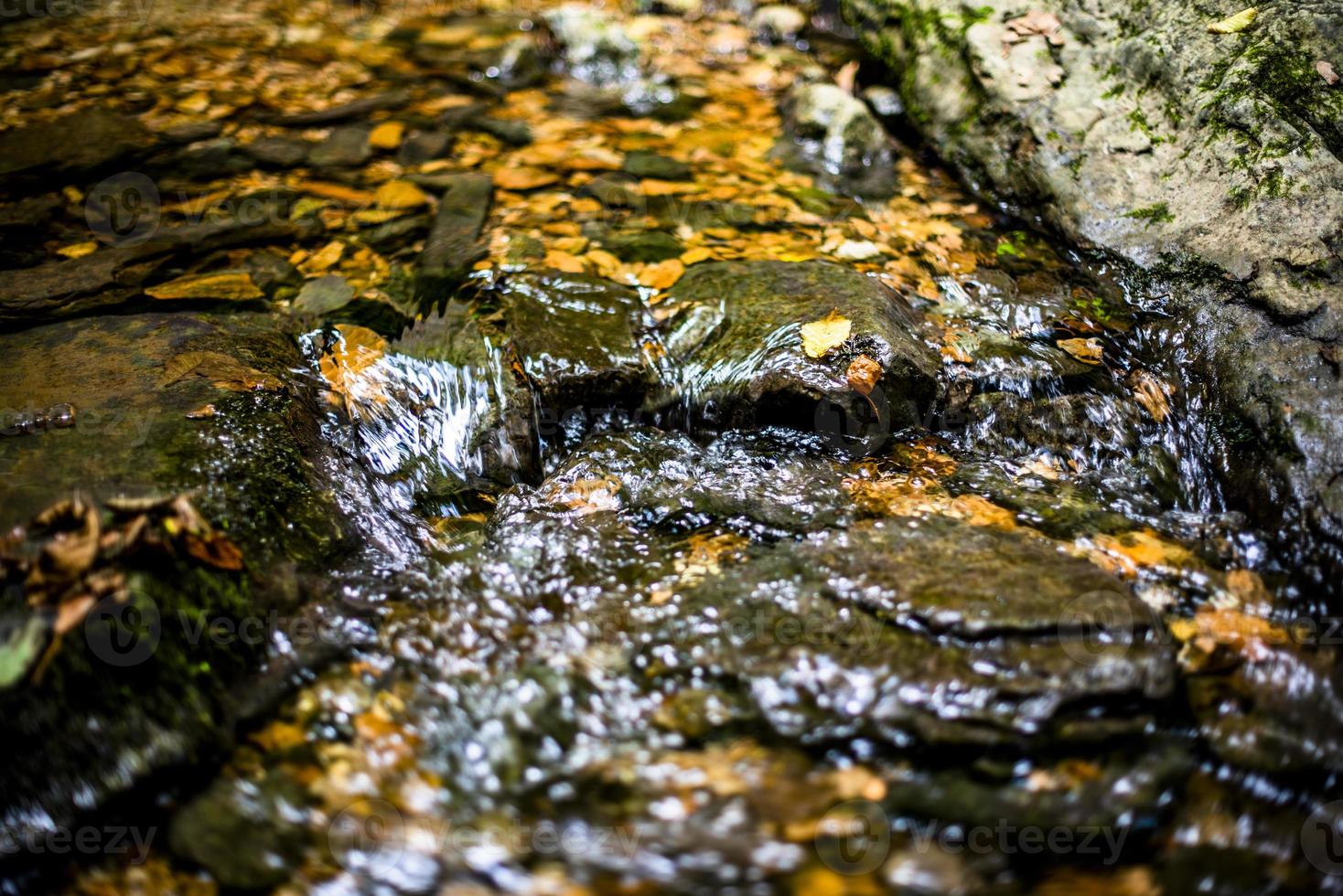 2022 07 10 rio lusiana 1 foto