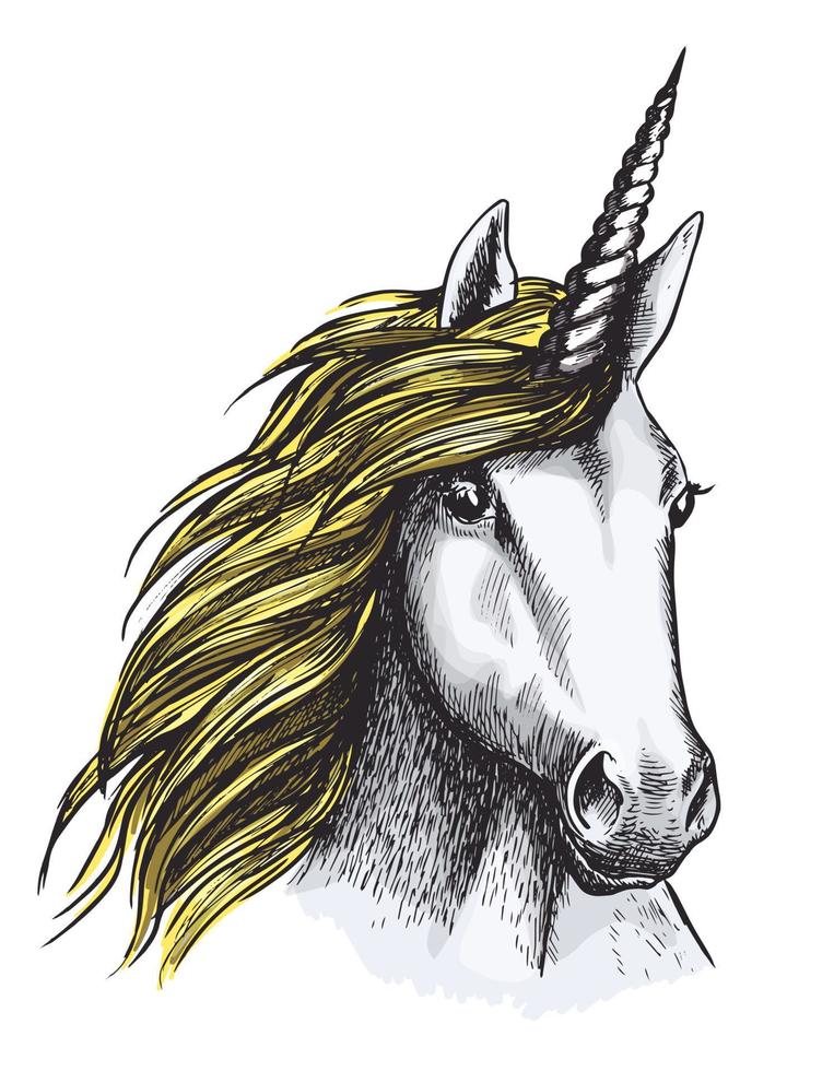 Vector sketch unicorn horse mystic magic animal