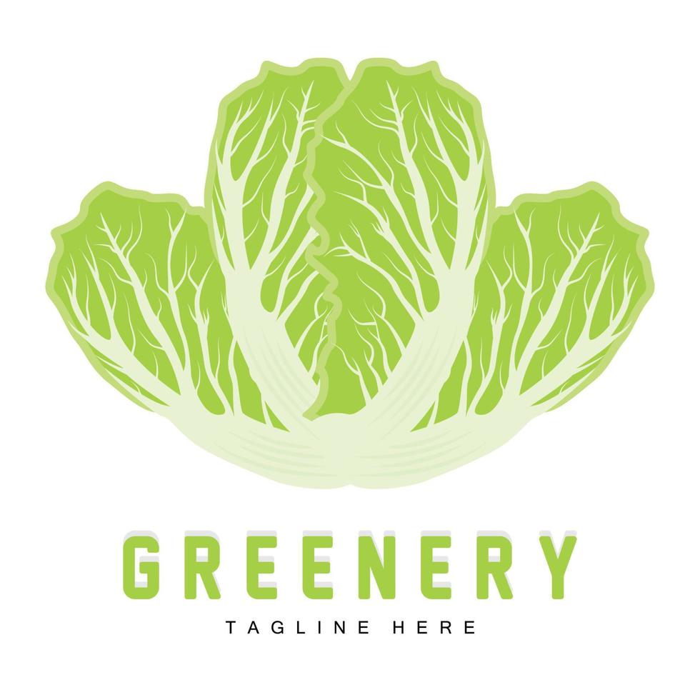 Chinese cabbage Logo Design Green Plant Vector Kimchi Food Ingredients