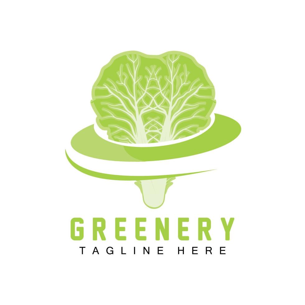 Chinese cabbage Logo Design Green Plant Vector Kimchi Food Ingredients