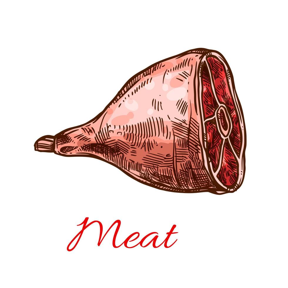 cuarto trasero de cerdo o icono de vector de carne de pechuga de jamón