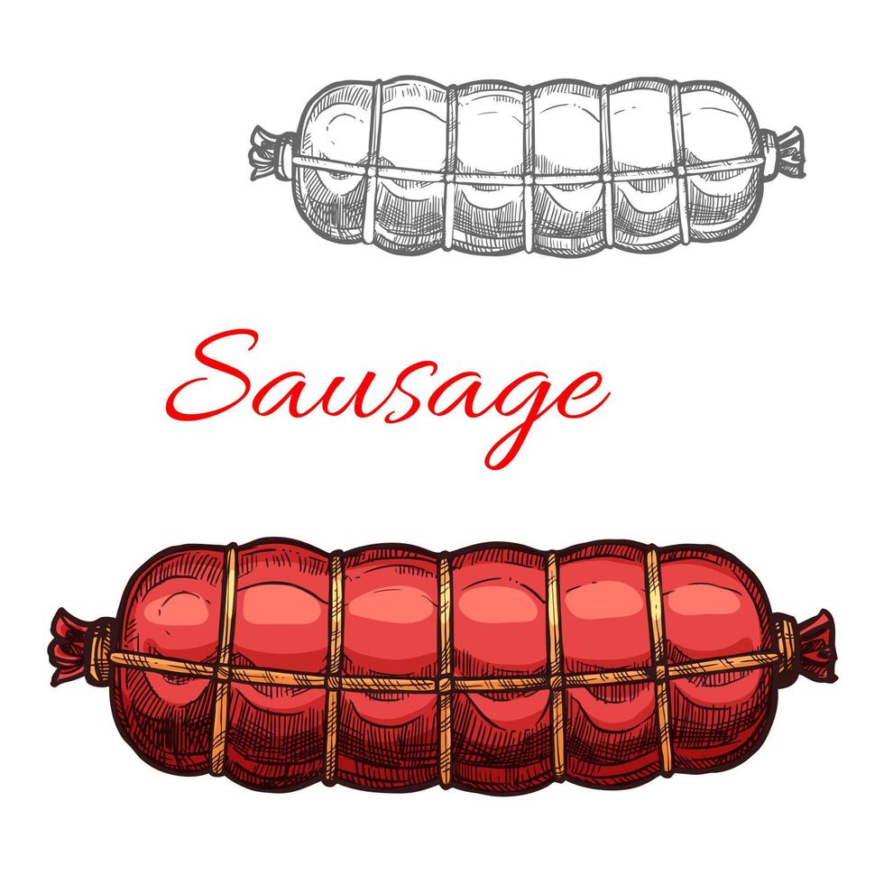 Vector sausage sketch meat icon