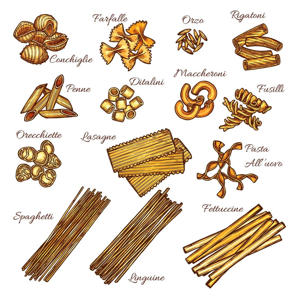 Pasta and spaghetti sketch set of italian macaroni vector