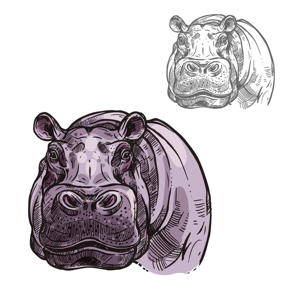 Hippopotamus hippo wild animal vector sketch icon