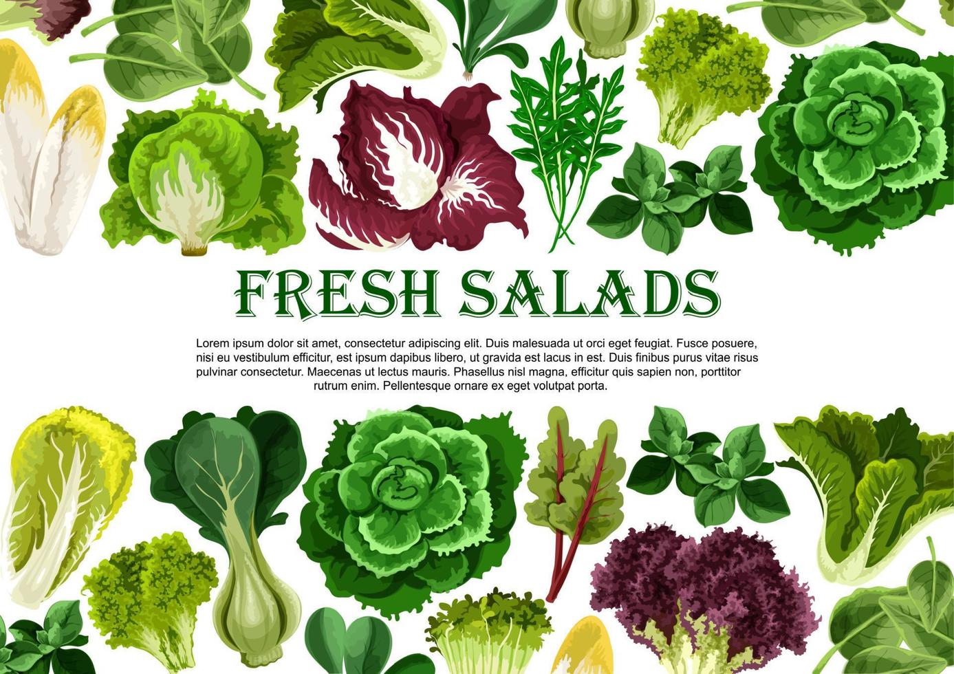 Salad leaf, vegetable greens banner border design vector
