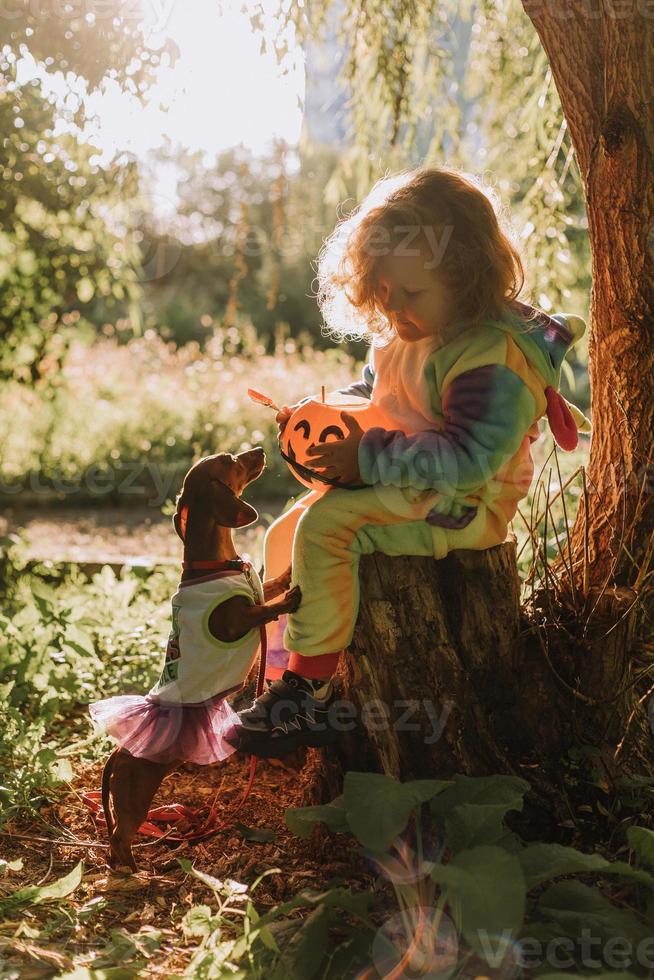 little girl in a rainbow unicorn Halloween costume and a dachshund in a dress with a pumpkin basket for sweets are sitting on stump at forest sunset. fabulous wonderful magical forest. space for text photo
