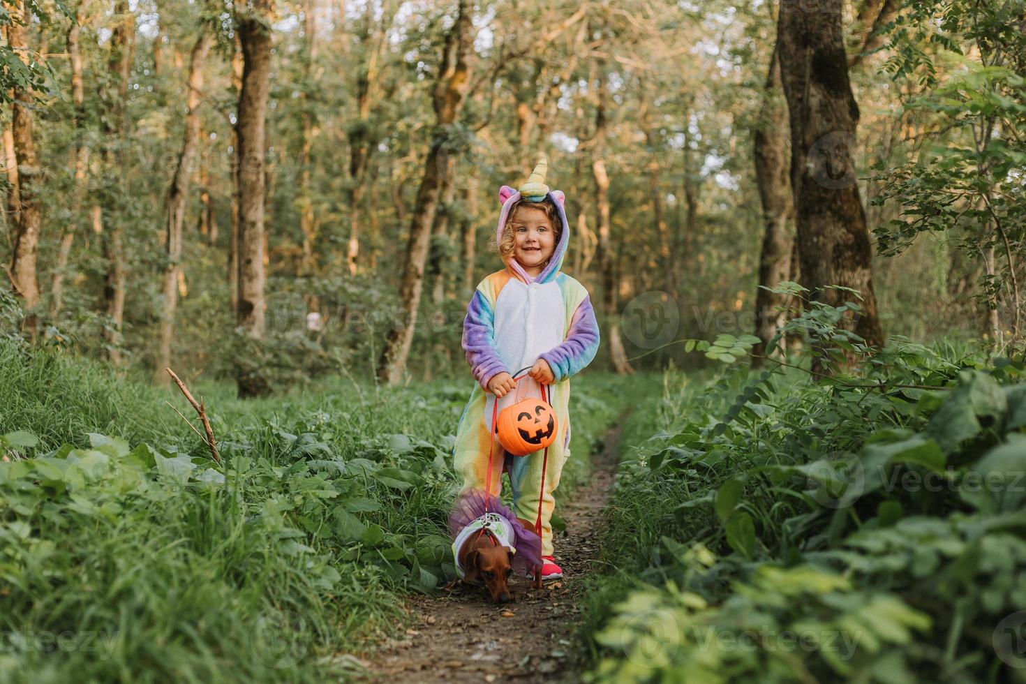 little girl in a rainbow unicorn Halloween costume and a dachshund in a dress with a pumpkin basket for sweets are sitting on stump at forest sunset. fabulous wonderful magical forest. space for text photo