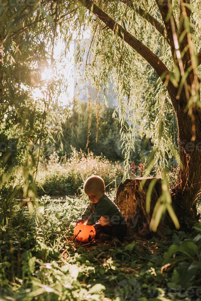 charming cute baby boy with a pumpkin basket for sweets is sitting under a spreading willow at sunset. fabulous magical beautiful forest. Halloween concept. child plays in the outdoor. space for text photo