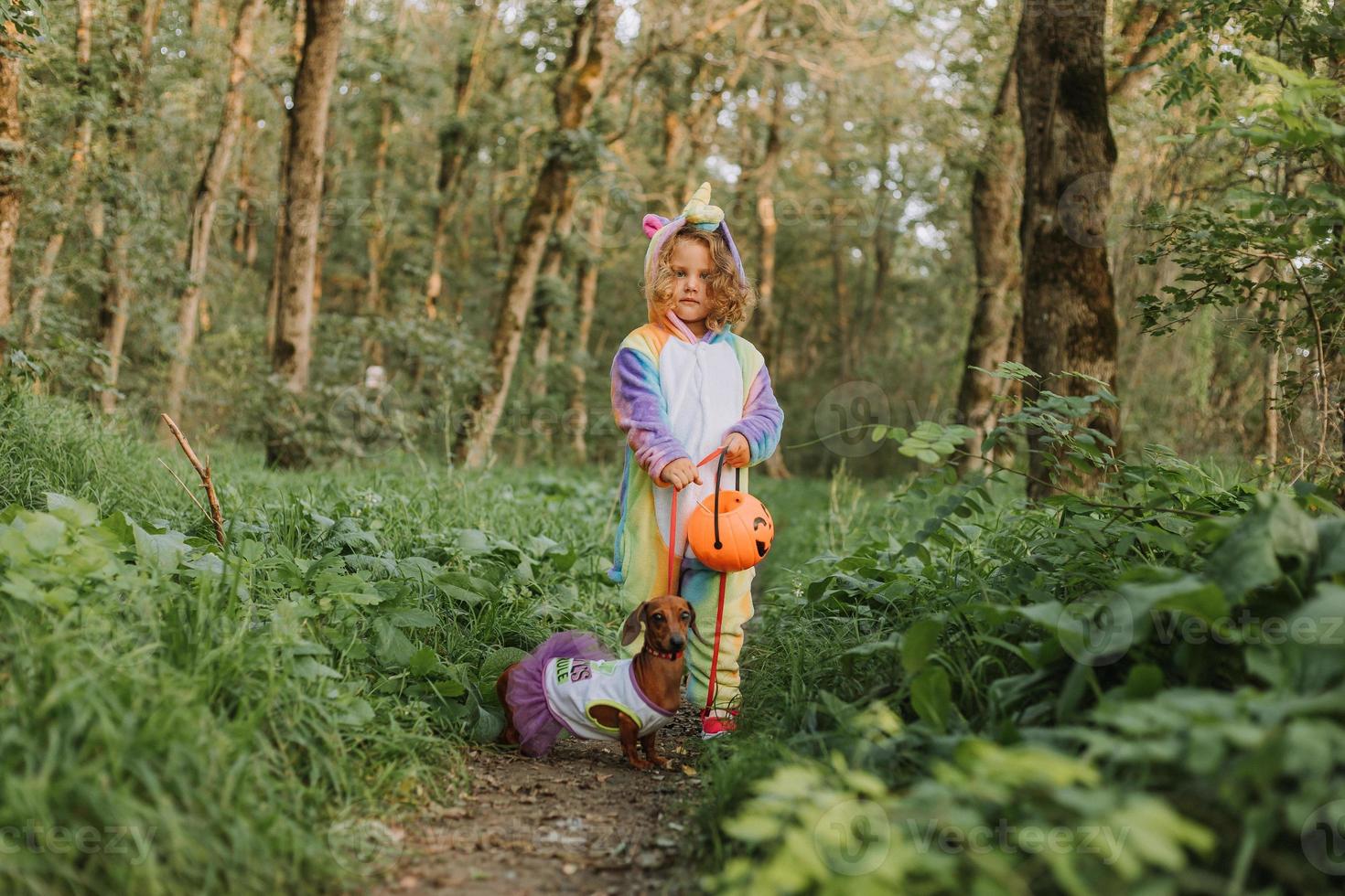 little girl in a rainbow unicorn Halloween costume and a dachshund in a dress with a pumpkin basket for sweets are sitting on stump at forest sunset. fabulous wonderful magical forest. space for text photo