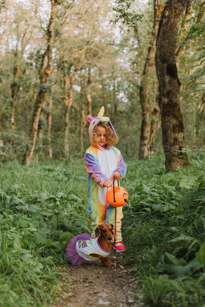 little girl in a rainbow unicorn Halloween costume and a dachshund in a dress with a pumpkin basket for sweets are sitting on stump at forest sunset. fabulous wonderful magical forest. space for text photo