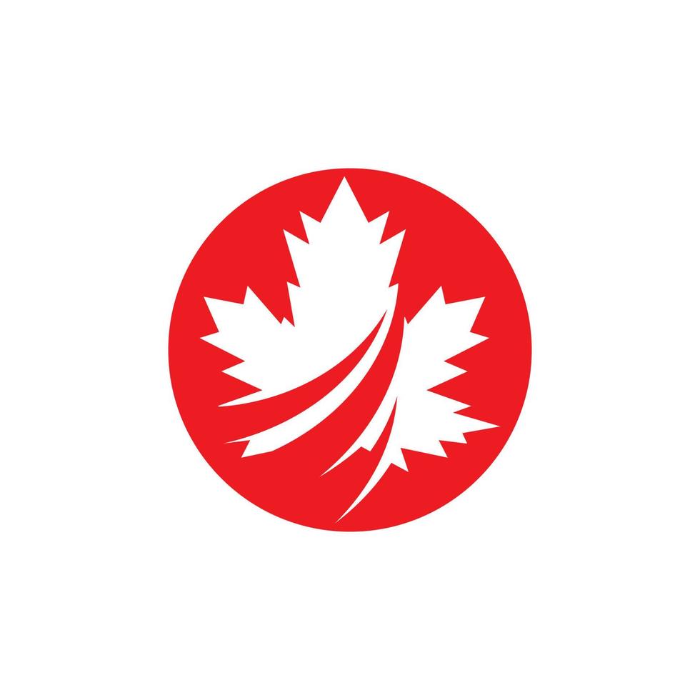Maple leaf vector illustration