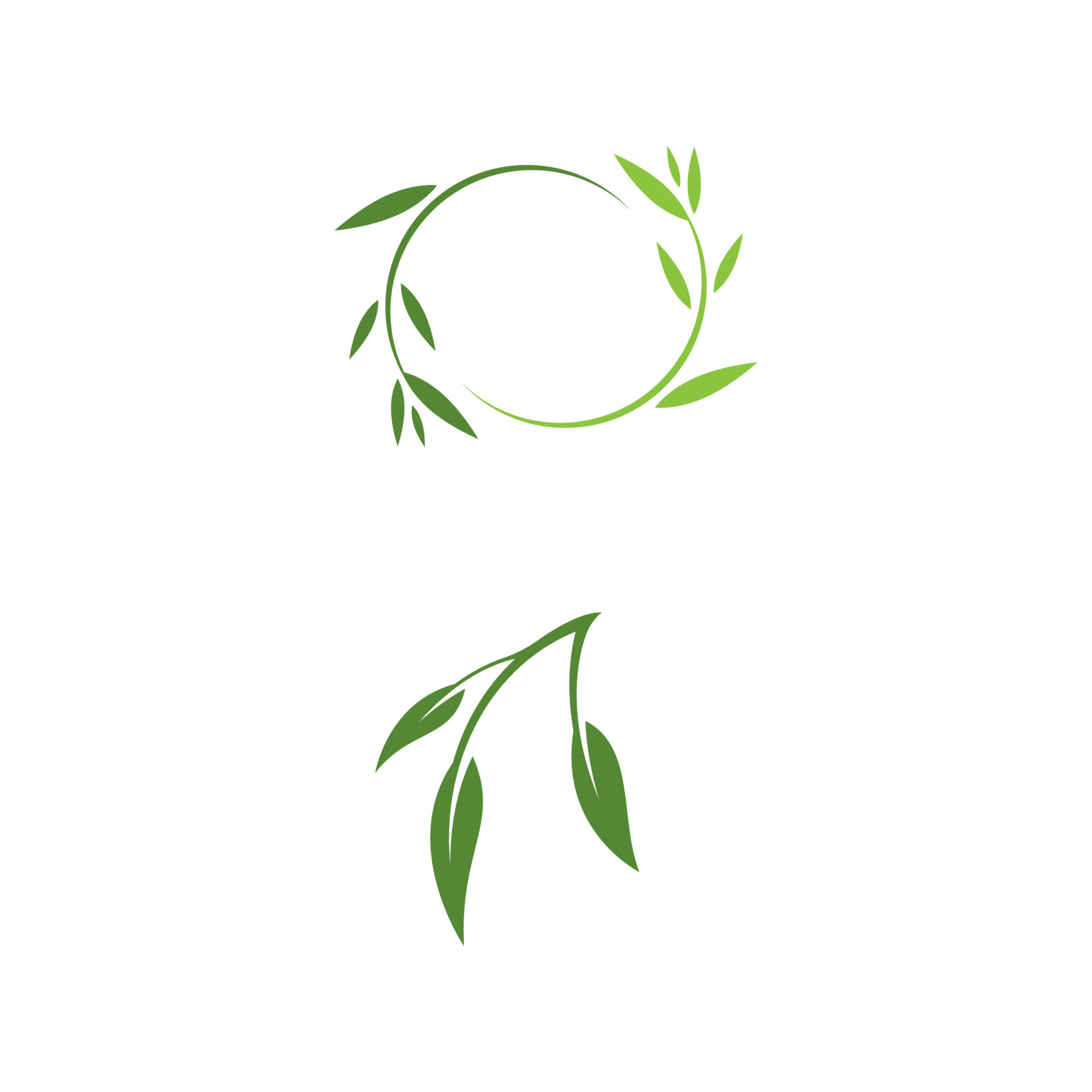 Olive leaf vector illustration design 13059813 Vector Art at Vecteezy