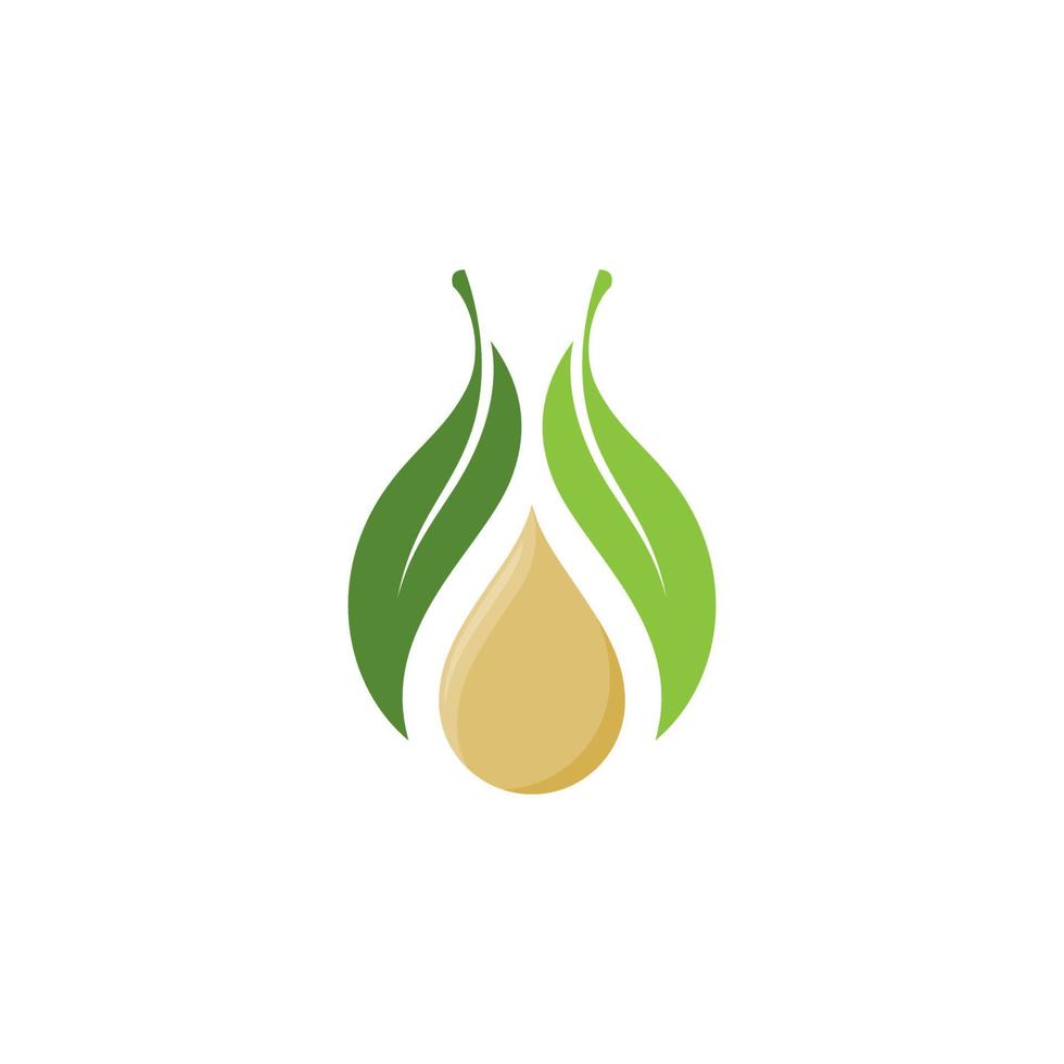 Olive leaf vector illustration design