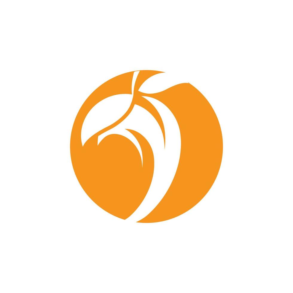 logotipo de diseño de ilustración vectorial de icono de mango vector