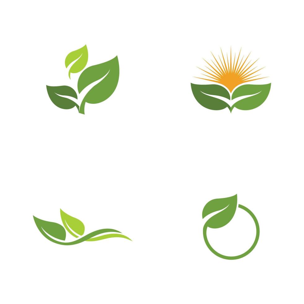 Logos of green Tree leaf ecology vector