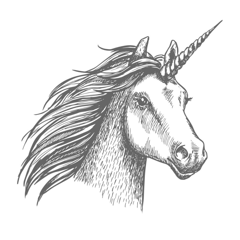 cabeza aislada de dibujo vectorial de unicornio vector