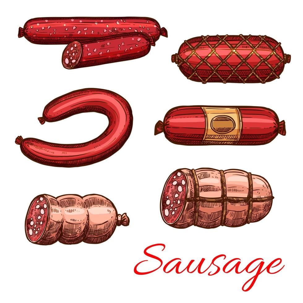 Sausage sketch set of beef and pork meat product vector