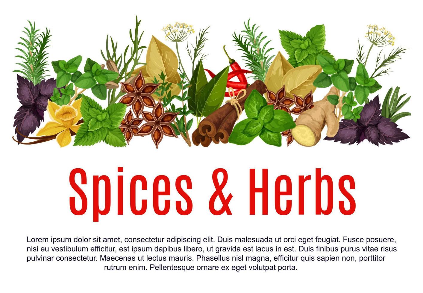 Vector spices and herbs farm store poster