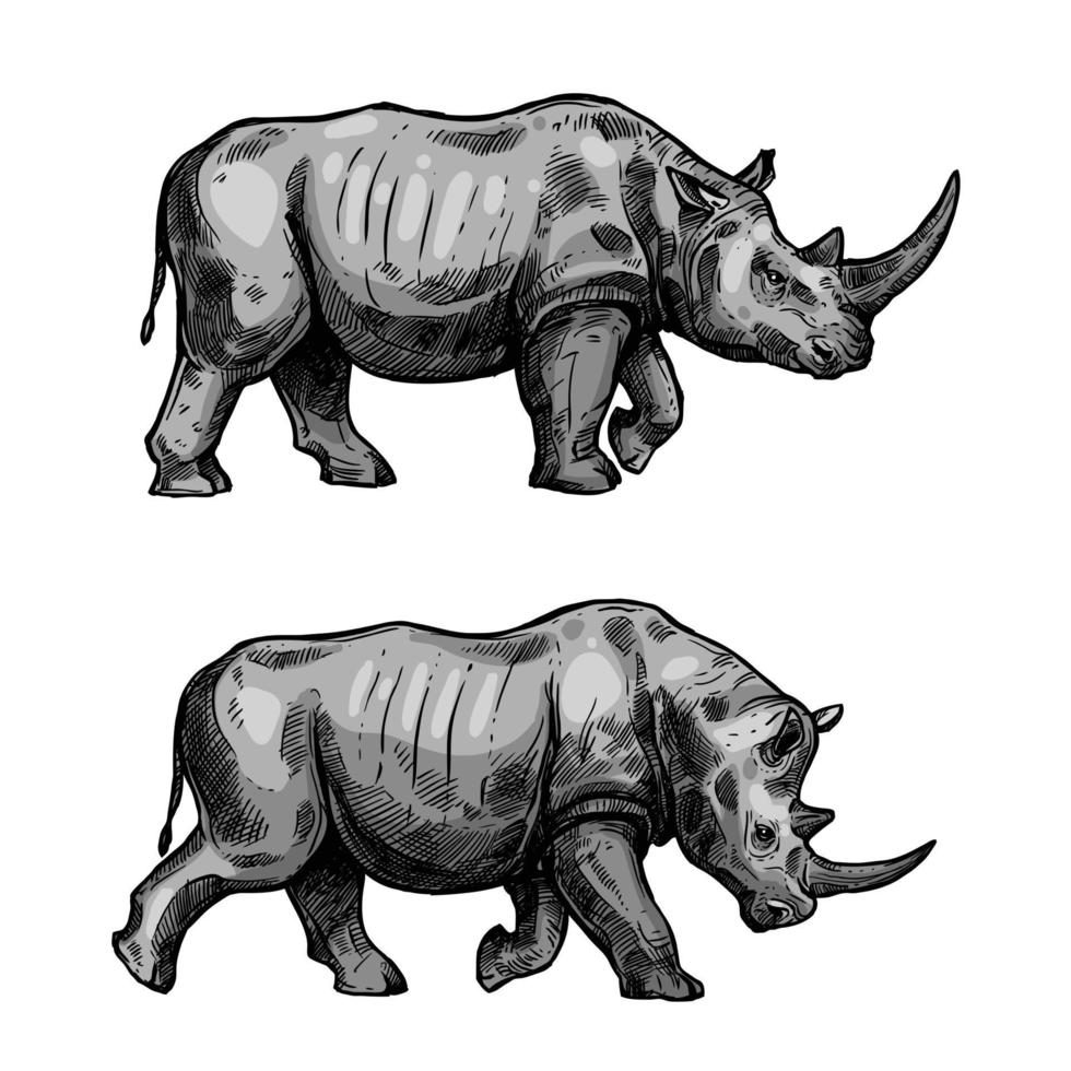 African rhino walking sketch of rhinoceros animal vector