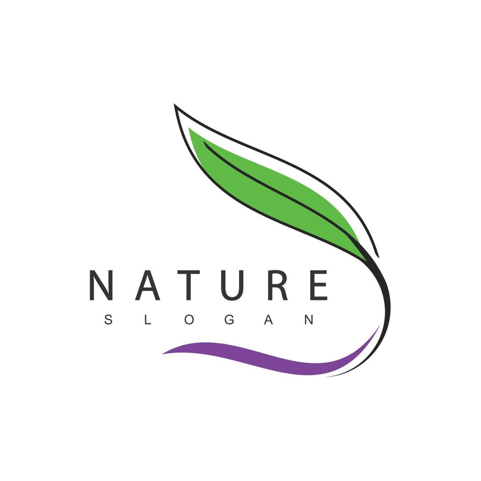 plantilla de diseño del logotipo de la naturaleza, concepto de belleza con icono de hoja para spa, cuidado de la piel y cosmética vector