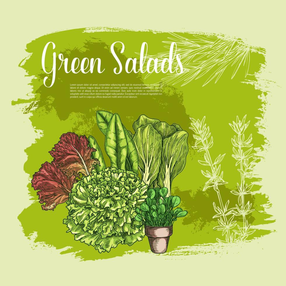 cartel de vector de ensaladas de lechuga verduras de hoja