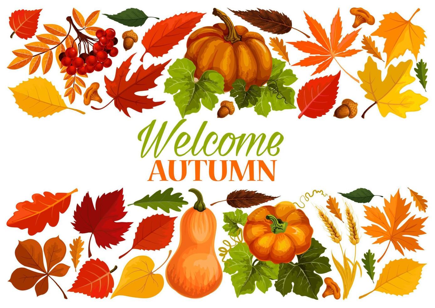 Autumn banner with border of fall leaf, pumpkin vector