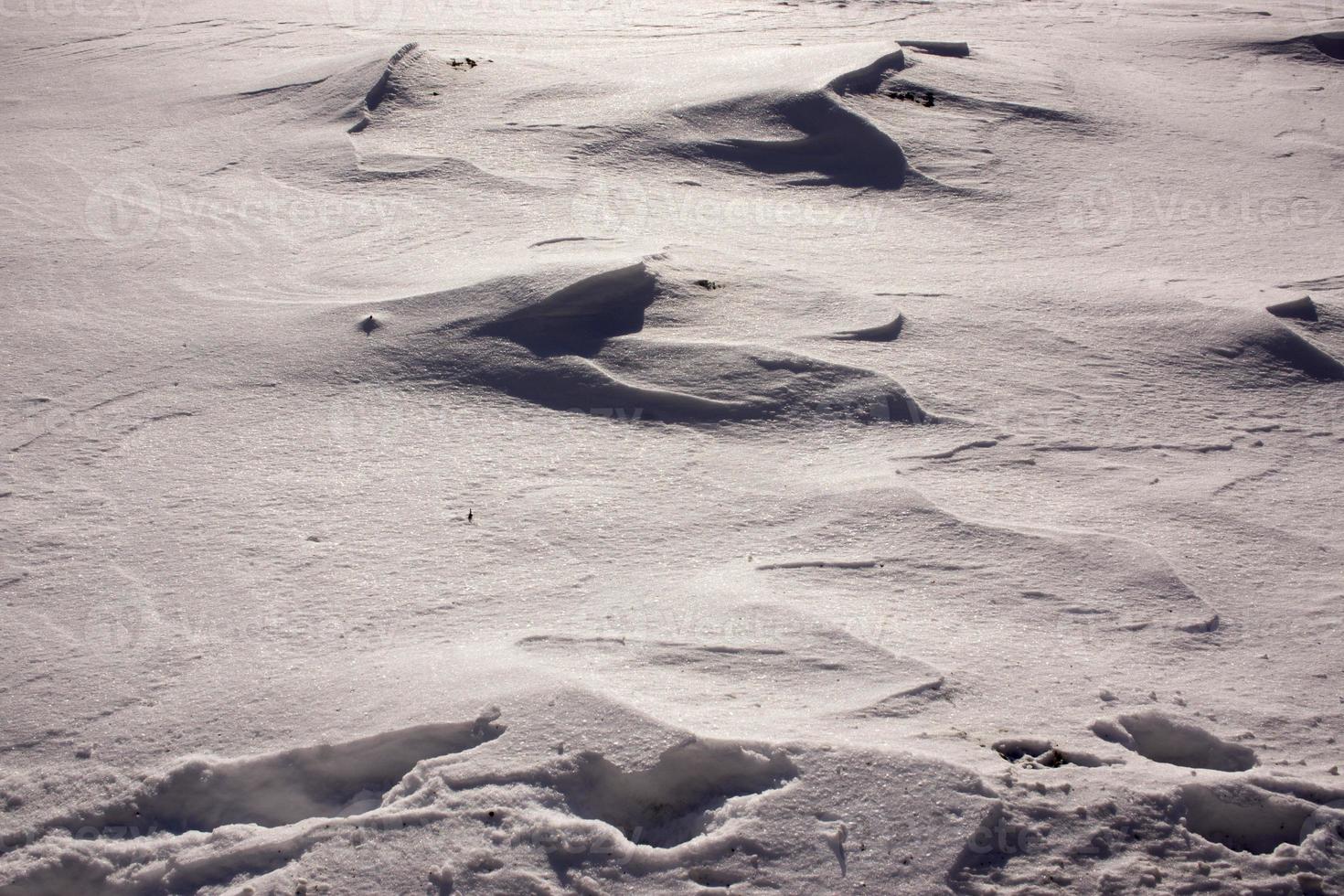 la nieve y el viento combinados formaron olas de nieve en un entorno agrícola. foto