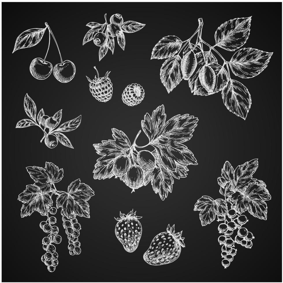 iconos de dibujo de tiza vectro de bayas frutas vector